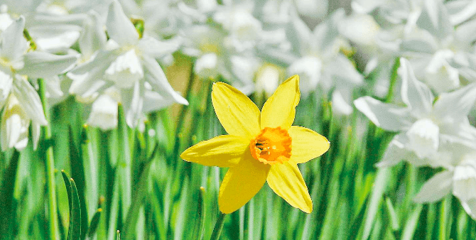 2025-09-27-DG-Keeping it simple.png