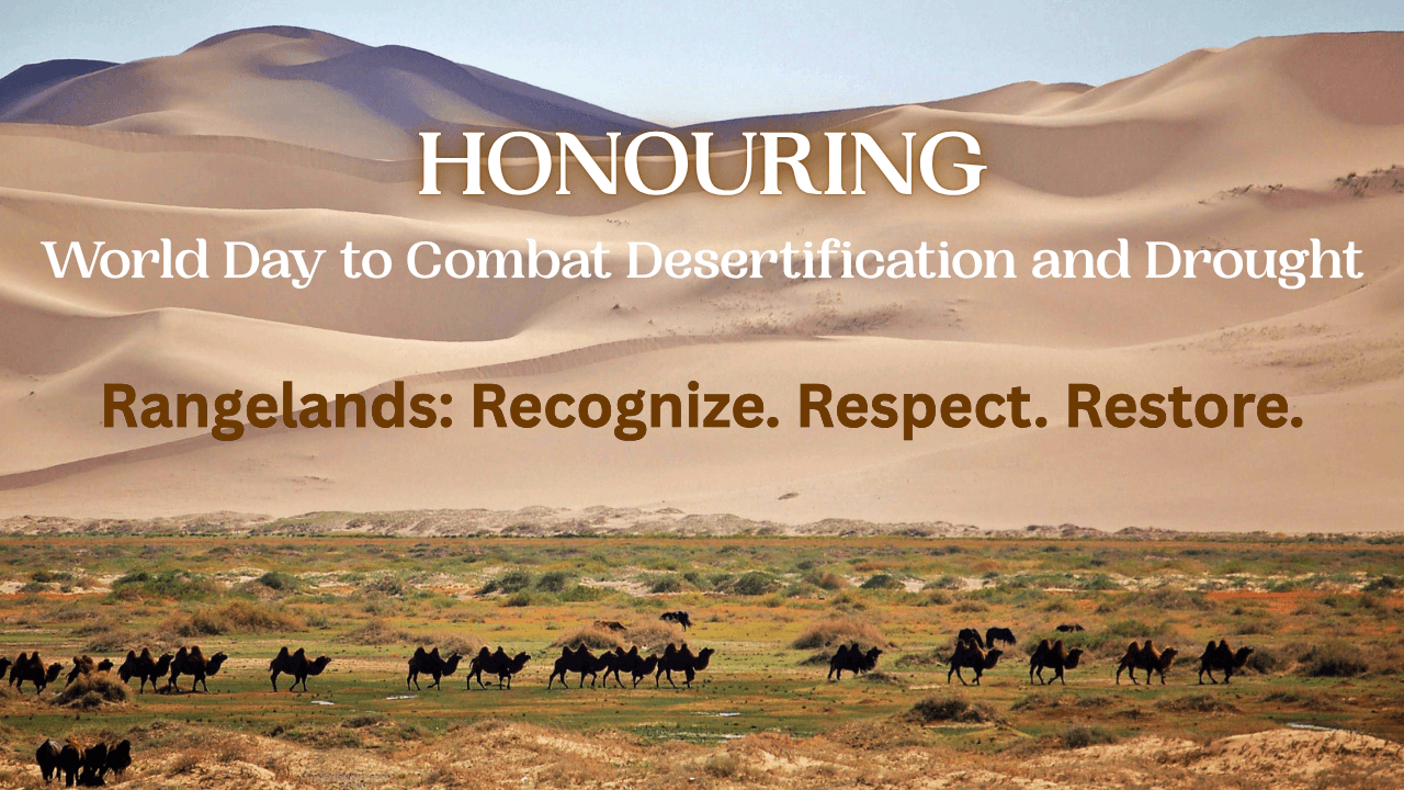 UN Day to Combat Desertification and Drought - June 17th 2026 1.png