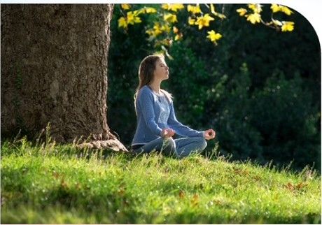 Tending the Inner Garden - Finding Enthusiasm, Sovereignty, and Peace