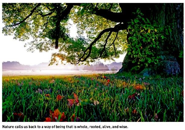 What nature teaches us