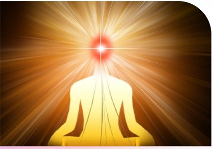 One Life, One Consciousness