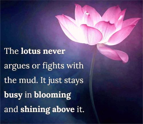Rise above negativity or ... are you “stuck in the mud”?